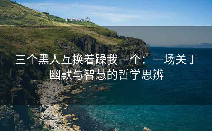 三个黑人互换着躁我一个：一场关于幽默与智慧的哲学思辨
