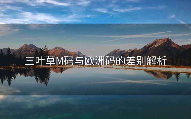 三叶草M码与欧洲码的差别解析