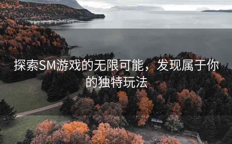 探索SM游戏的无限可能,发现属于你的独特玩法